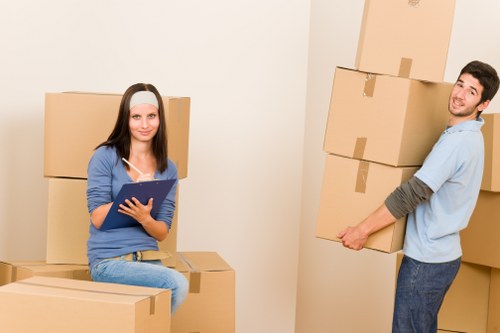 Storage load estimate with boxes and household goods in a local move